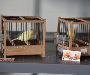 ZooPark ponownie przyciągnął do Targów Lublin tłumy miłośników zwierząt