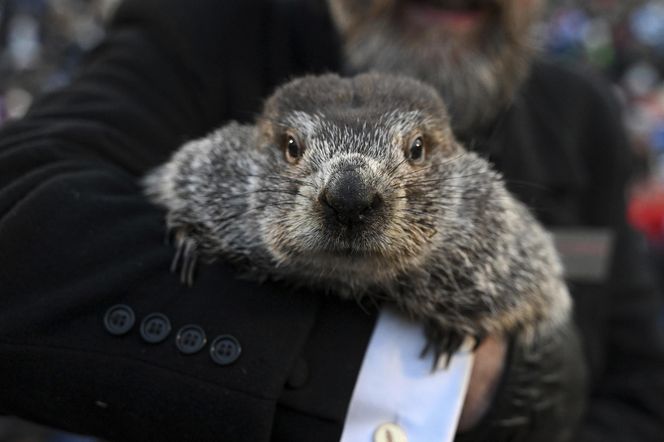 Nie ma nadziei na wiosnę! Jednoznaczna prognoza zza oceanu