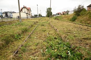 Wielki powrót po 24 latach. Ta linia kolejowa jest kluczowa dla budowy elektrowni jądrowej