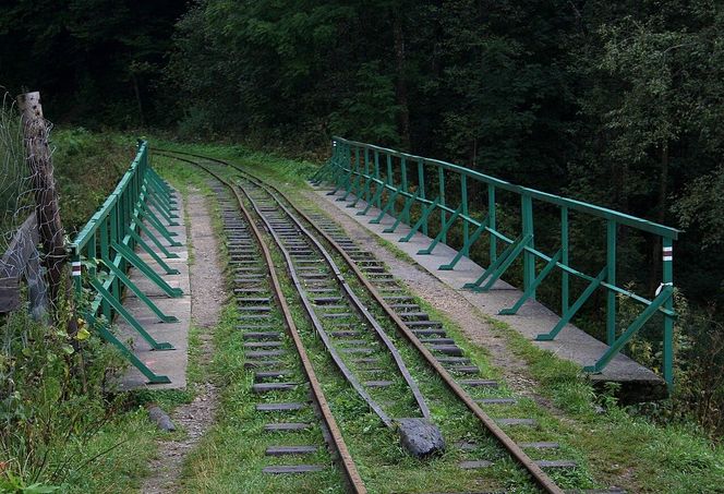 Cisna - wieś na Podkarpaciu, którą w swoim pamiętniku opisał Aleksander Fredro 