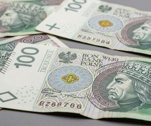 Banknoty NBP. Kiedy pieniądze tracą wartość i wymagają wymiany?