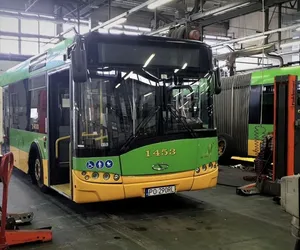 MPK Poznań nadal szuka kierowców. Czy będzie komu prowadzić autobusy?