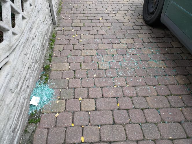 "Wyleciał mi przed maskę"