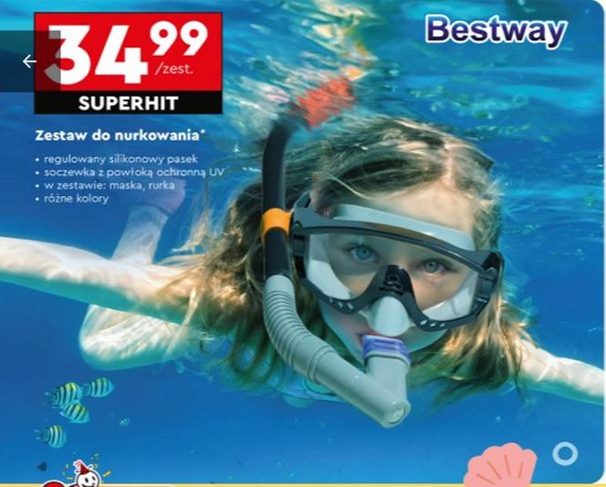 Oferta turystyczna w Biedronce
