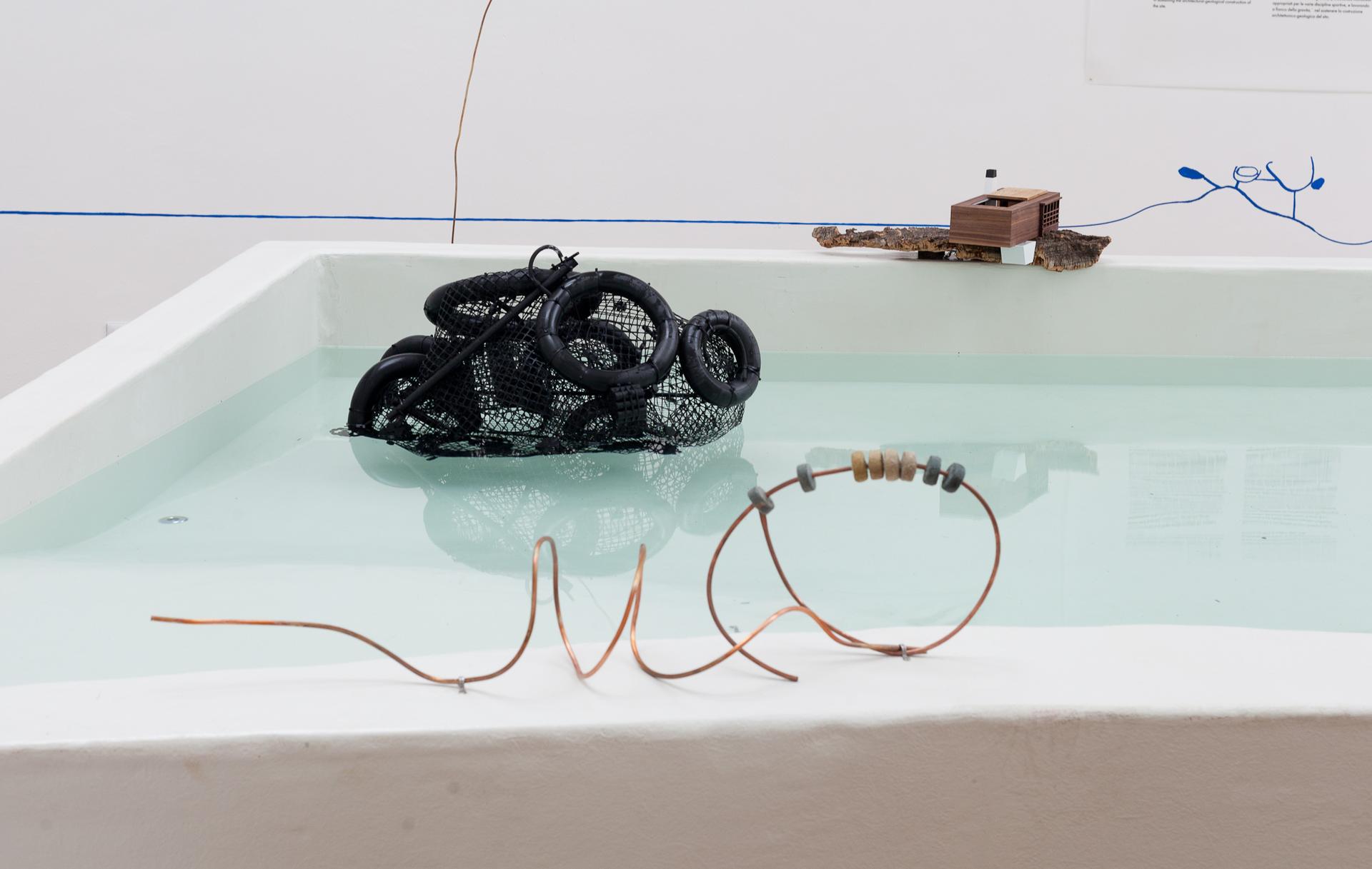 Amplifying_Nature_exhibition_fot_Anna_Zagrodzka-16