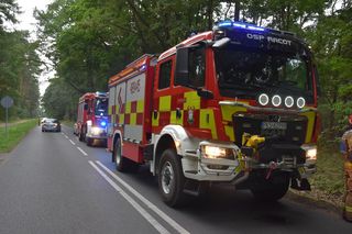 Wypadek koło Gryżyny