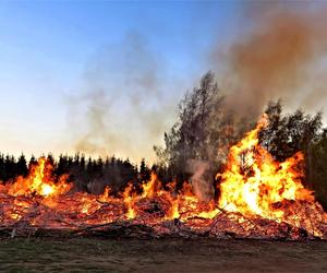 Mazowiecki Park Krajobrazowy stanął w ogniu. Drzewa spaliły