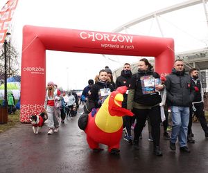 Bieg z Sercem WOŚP w Parku Śląskim. Po raz dziesiąty pobiegli w szczytnym celu