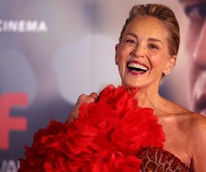 Nagi Instynkt wraca! Ale bez Sharon Stone. Gwiazda tak to podsumowała!