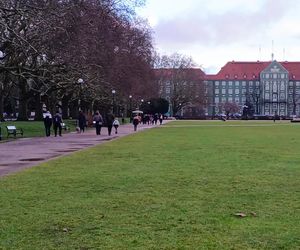 Pierwsze krokusy na Jasnych Błoniach