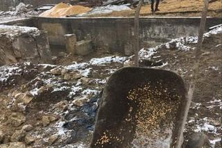 Śledczy zakończyli pracę w miejscu wybuchu w Przewodowie. Lej ma głębokość 5 metrów