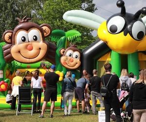Tydzień Dziecka w Sosnowcu: Bogaty program wydarzenia. Na liście atrakcji Hobby Horse Cup