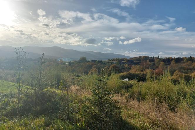 Bieszczady jesienią [GALERIA]