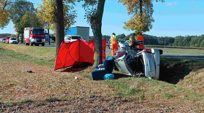 Potworny wypadek na DK2 pod Siedlcami. 61-latek zginął przez wersalkę?