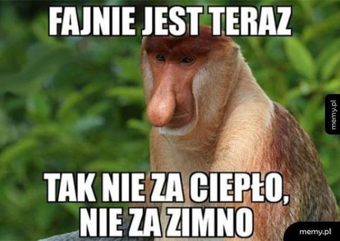 Memy o pogodzie