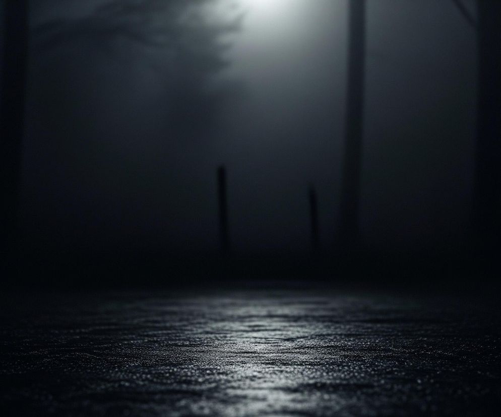 Na pierwszym planie widoczna jest ciemna, mokra lub błyszcząca powierzchnia, która odbija światło w postaci drobnych, jasnych punkcików. Powierzchnia ta rozciąga się od dołu obrazu, ostrość utrzymuje się w środkowej części pierwszego planu, a w miarę oddalania się w głąb staje się coraz bardziej rozmyta i ciemna. W tle, w górnej części obrazu, dostrzegalne jest jasne źródło światła po prawej stronie, otoczone mglistą poświatą, rozświetlającą fragment otoczenia. Zarysowane są również pionowe, ciemne sylwetki obiektów, prawdopodobnie drzew lub słupów, oraz niewyraźne kształty liści lub gałęzi po lewej stronie, również w otoczeniu mgły. Cały obraz utrzymany jest w ciemnych, monochromatycznych odcieniach szarości i błękitu, tworząc atmosferę tajemniczości.