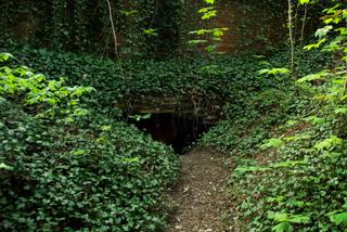 Dawny fort na Cmentarzu Centralnym w Szczecinie