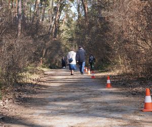 City Trail 2025. Miłośnicy biegania walczyli przy Zalewie Zemborzyckim w Lublinie