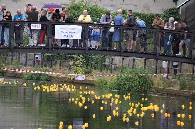 Ster na Bydgoszcz 2023. V Charytatywny Wyścig Kaczek Rotary [ZDJĘCIA]