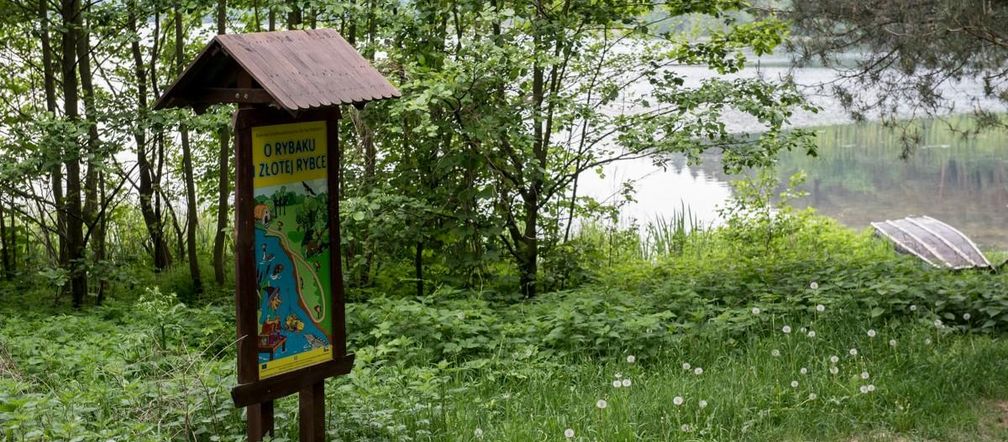 Brodnicki Park Krajobrazowy to raj dla aktywnych turystów. Odkryj bajkowe trasy i miejsca, jakie znasz z powieści kryminalnych!