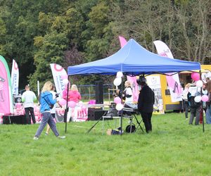 Race for the Cure