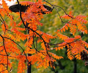 Ogród Botaniczny we Wrocławiu