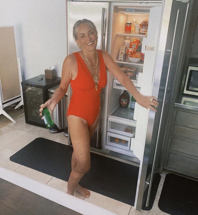 Sharon Stone rzuciła wyzwanie Pameli! 56-latka wygląda lepiej w TYM stroju?