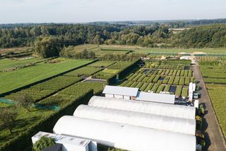 Gospodarstwo ogrodnicze w Tarczynie