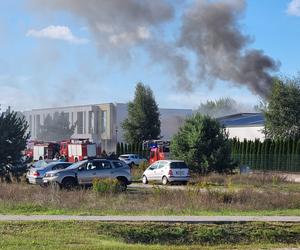 Pożar lakierni w podbydgoskim Osielsku! Na miejscu kilka zastępów straży pożarnej [ZDJĘCIA]