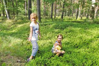 Siostry Hania i Agnieszka z Niedoradza: Zbieramy jagody, by pomóc mamie