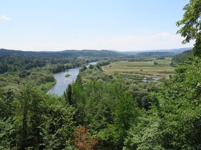 Bieszczady. Platforma na górze Sobień odnowiona [GALERIA]	