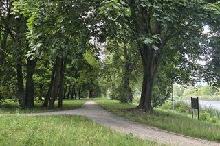 Zielona perła Bartodziejów. Odkryj uroki bydgoskiego Balatonu