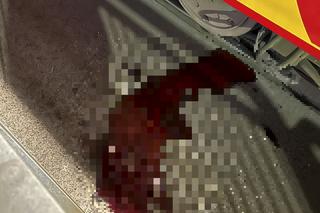 Makabryczny wypadek na Żoliborzu. 17-latka ciągnięta przez tramwaj. Ulicę zalała krew