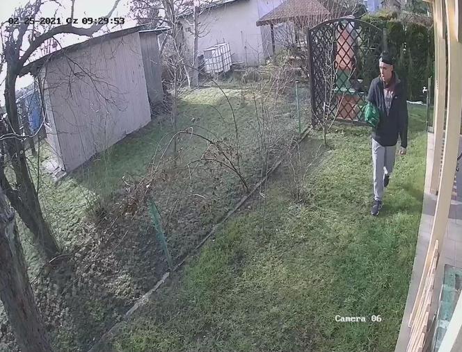 Gliwice: Okradł altankę działkową. Został nagrany jak ucieka z czteropakiem piwa. Rozpoznajesz go? [ZDJĘCIA]