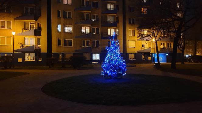 Katowice: Spółdzielnia wycięła im jedyną choinkę na osiedlu. Sami kupili nową jodłę