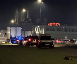 Kierowca toyoty nie przeżył potwornego uderzenia. Jego auto wbiło się w tył naczepy. Policjanci nie wykluczają jednego…