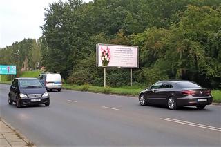 Nietypowe billboardy w Szczecinie