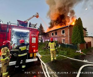 Śmiertelny pożar w Malborku. 37-latka podejrzana o podpalenie. Usłyszała zarzuty [ZDJĘCIA]