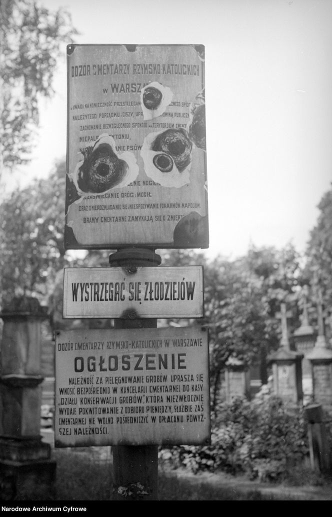Cmentarze Powązkowskie - 1946-1963