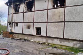 Pożar stadniny koni w Bronkowie pod Krosnem Odrzańskim 