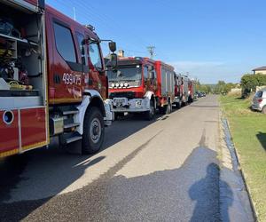 Pożar stodoły w Wielkiej Wsi. Duże straty finansowe