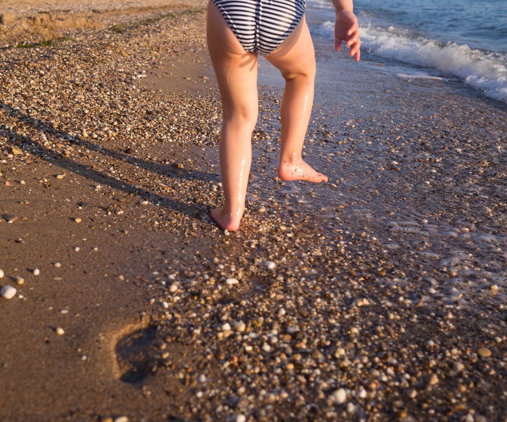 Sinice - dlaczego są groźne? Sinice w Bałtyku - występowanie, objawy zakwitu, mapa