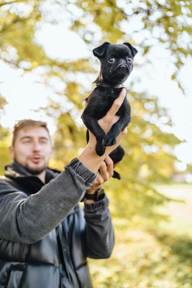 Pucha dla Pełnego Brzucha