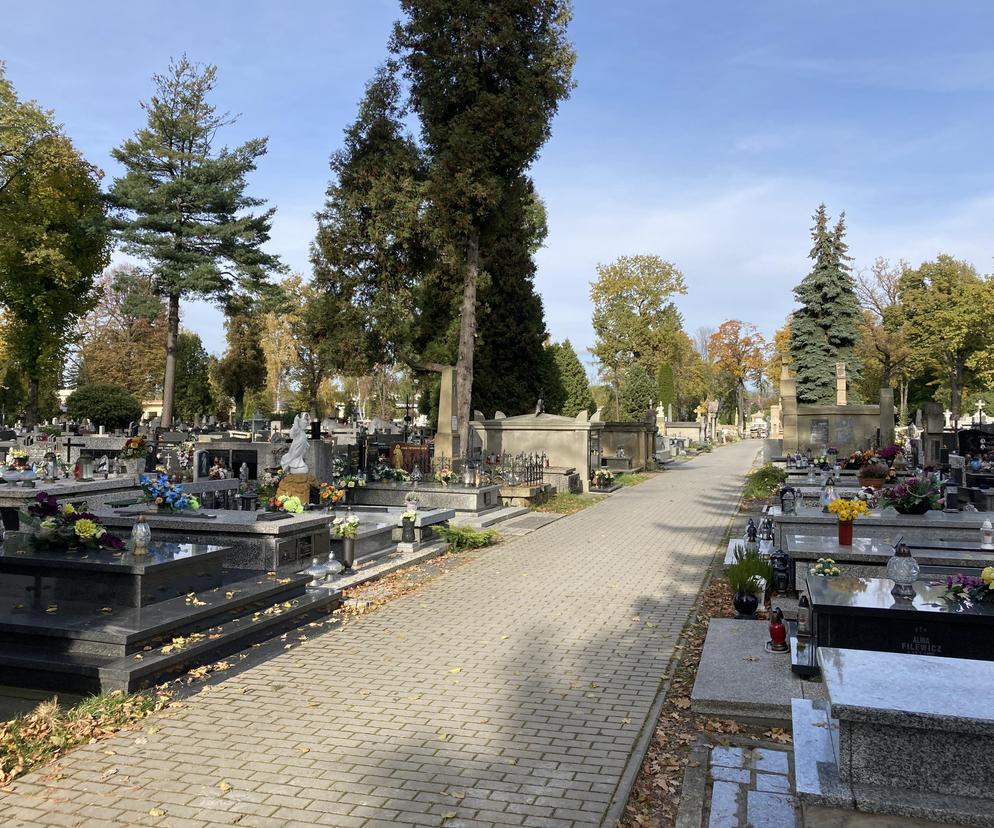cmentarz w Nowym Sączu