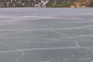 Morskie Oko zaśmiecone jak nigdy. To sprawka turystów. TPN opublikował zdjęcia.