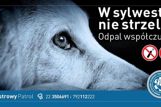 Sylwestrowy Patrol dla Zwierząt w Warszawie i okolicach - Fundacja Animal Rescue Polska