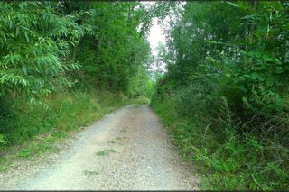 Wieś Psary w gminie Bodzentyn