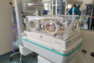 Nowe inkubatory w RSZS