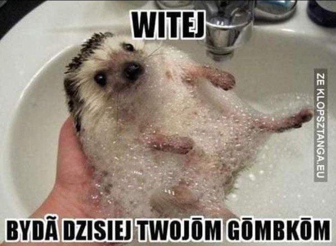 Czeskie memy są najlepsze! Będziecie płakać ze śmiechu