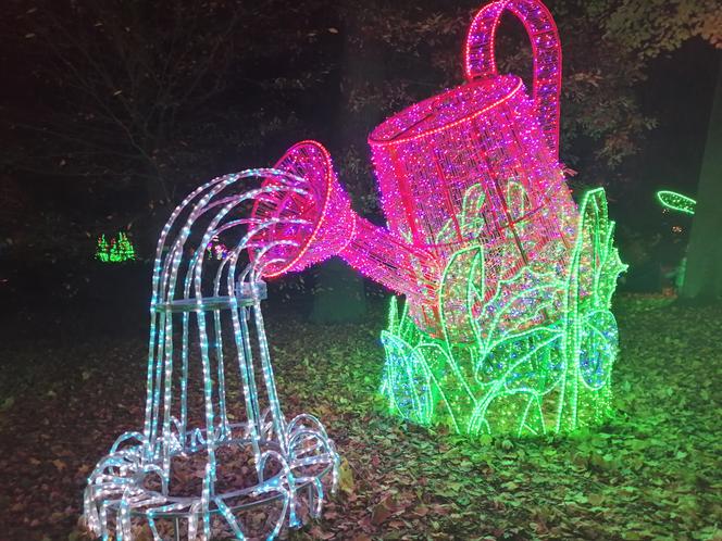 Park Iluminacji w Poznaniu